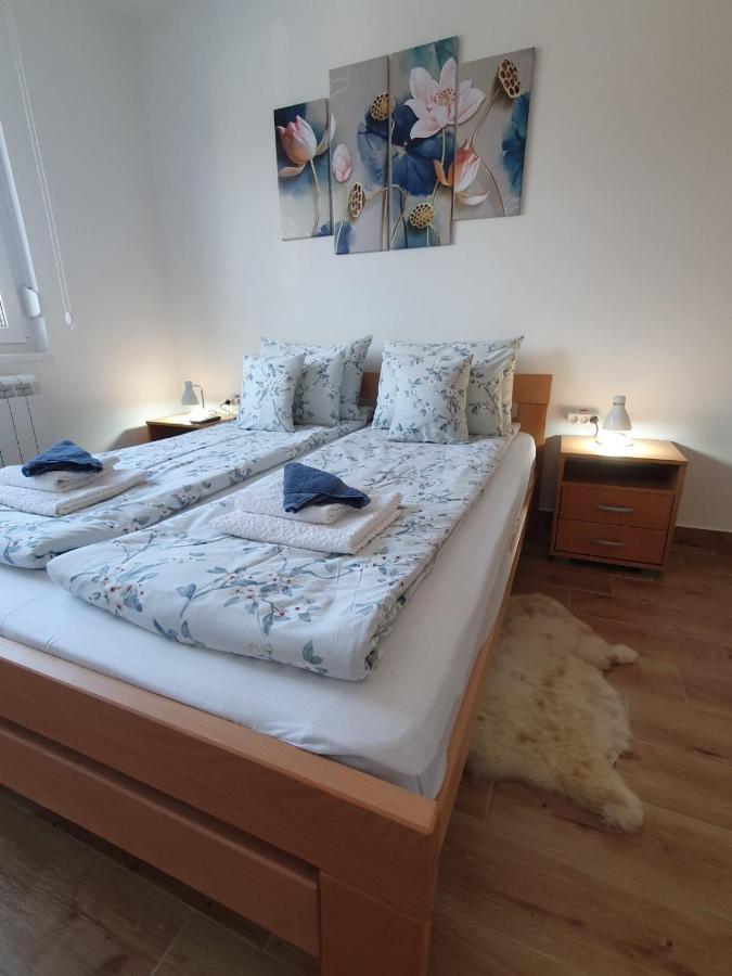 Apartment No 11 Subotica Zewnętrze zdjęcie